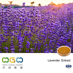 Lavender Extract