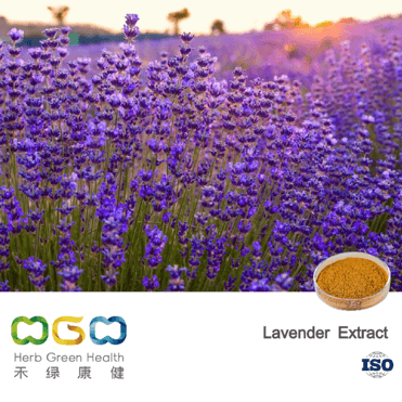 Lavender Extract