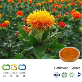 Safflower Extract