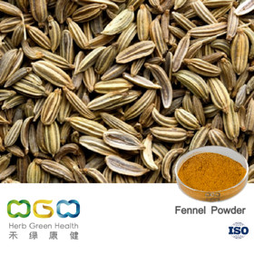 Fennel Powder