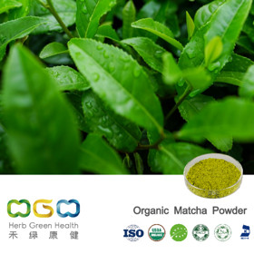 Organic Matcha Powder