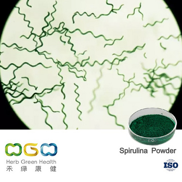 Spirulina Powder