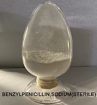 Benzylpenicillin Sodium(Sterile)