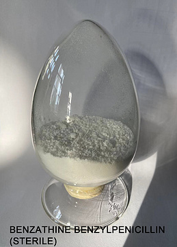 Benzathine Benzylpenicillin(Sterile)  