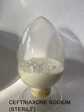 Ceftriaxone Sodium(Sterile)  