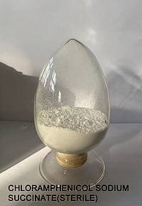 Chloramphenicol Sodium Succinate(Sterile)