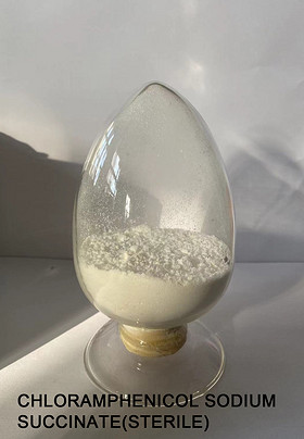 Chloramphenicol Sodium Succinate(Sterile)