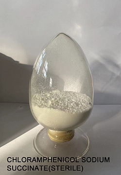 Chloramphenicol Sodium Succinate(Sterile)  