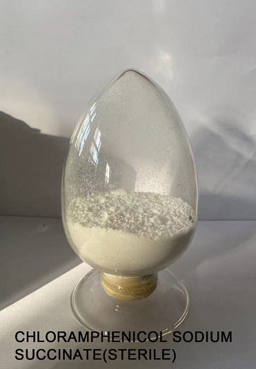 Chloramphenicol Sodium Succinate(Sterile)