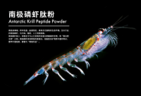 Antarctic Krill Peptide