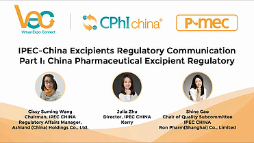 IPEC-China Excipients Regulatory Communication Part I: China Pharmaceutical Excipient Regulatory and GMP Framework