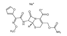 Cefuroxime Sodium for injection