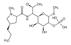 Clindamycin Phosphate Injection