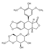 Etoposide