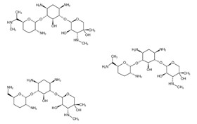 Gentamycin Injection