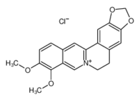 Berberine Hydrochloride Tablets