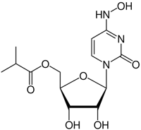 Molnumpiravir