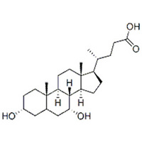 Chenodeoxycholic Acid（Cdca）