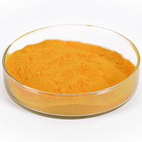 Turmeric Extract Powder Anti-Inflammatory & Antioxidant 95% Curcumin Turmeric