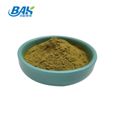 Hot selling chicoric acid echinacea extract powder