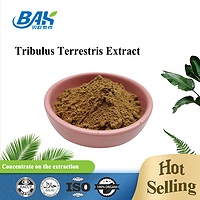 Hot Selling Tribulus Terrestris Extract Powder
