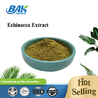 Hot selling chicoric acid echinacea extract powder