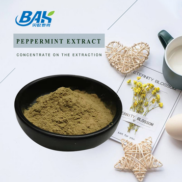  Best price peppermint extract