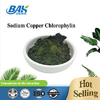 Competitive Price Bulk Organic Sodium Copper Chlorophyll Powder