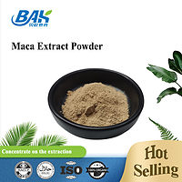 Manufacturer Supply Maca Root extract Powder Maca Extract