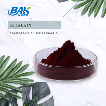 Best Price Red beet root extract