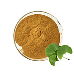 Ginkgo Biloba Extract