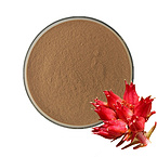 Rhodiola Rosea Extract