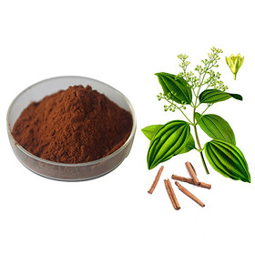 Cinnamon Bark Extract