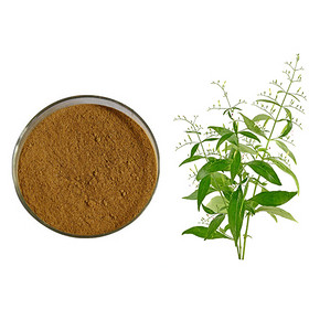 Andrographis Extract