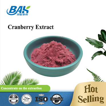 Anthocyanidins 25% Anthocyanin Extract Supplement Cranberry Extract Powder