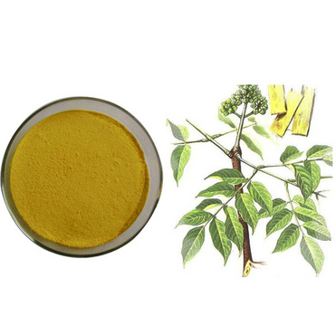 Berberine Extract Berberine Hydrochloride 97%