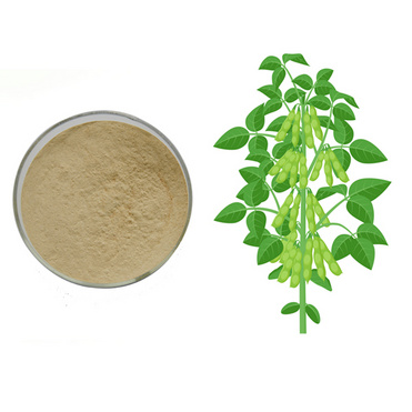 Soybean Extract Soy Isoflavones 40%