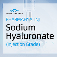 Sodium Hyaluronate Injection Grade