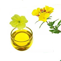 Evening Primrose Oil