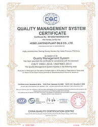 ISO9001