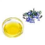 Borage Seed Oil