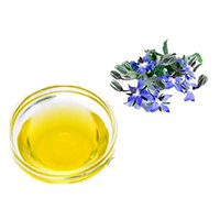 Borage Seed Oil