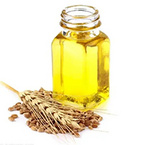 Wheat Germ Oil