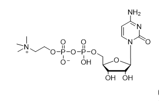 Citicoline