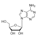 Adenosine