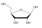 D-Ribose