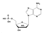 Vidarabine monophosphate