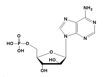 Vidarabine monophosphate