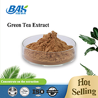 Best Price Green tea extract powder