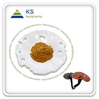 Reishi Mushroom Extract-L